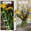 2pcs/pack Spiral Ikebana Stem Holder, Spiral Stem Holder for Flowers, 2025 Spiral Stem Holder for Vases, Spiral DIY Bouquet Twis