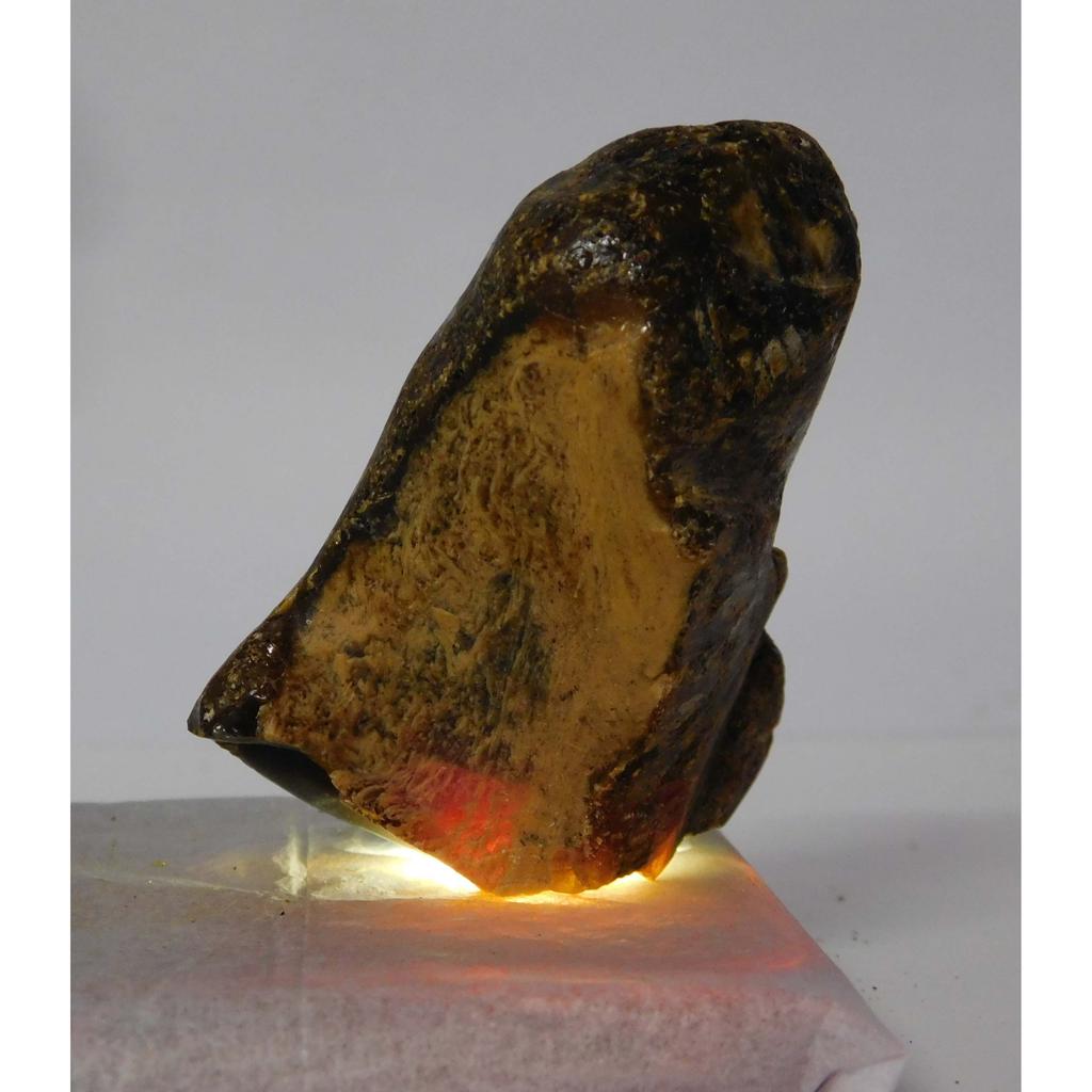 Orange Amber 228.54 Ct Earth Mined Natural Rough Loose Gemstone