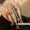 [TG835]1/3/5Pcs Fun Realistic Fish Shaped Gel Pen Smooth Writing Office Students Stationery Gift School Supplies