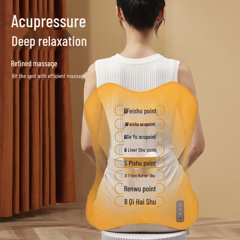 R3 Heated Lumbar & Neck Massage Cushion