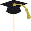 Graduation Cap Cake Toppers Set of 10 Graduation Party Decorations Dessert Picks Graduation Theme Cupcake Toppers for Celebration Events