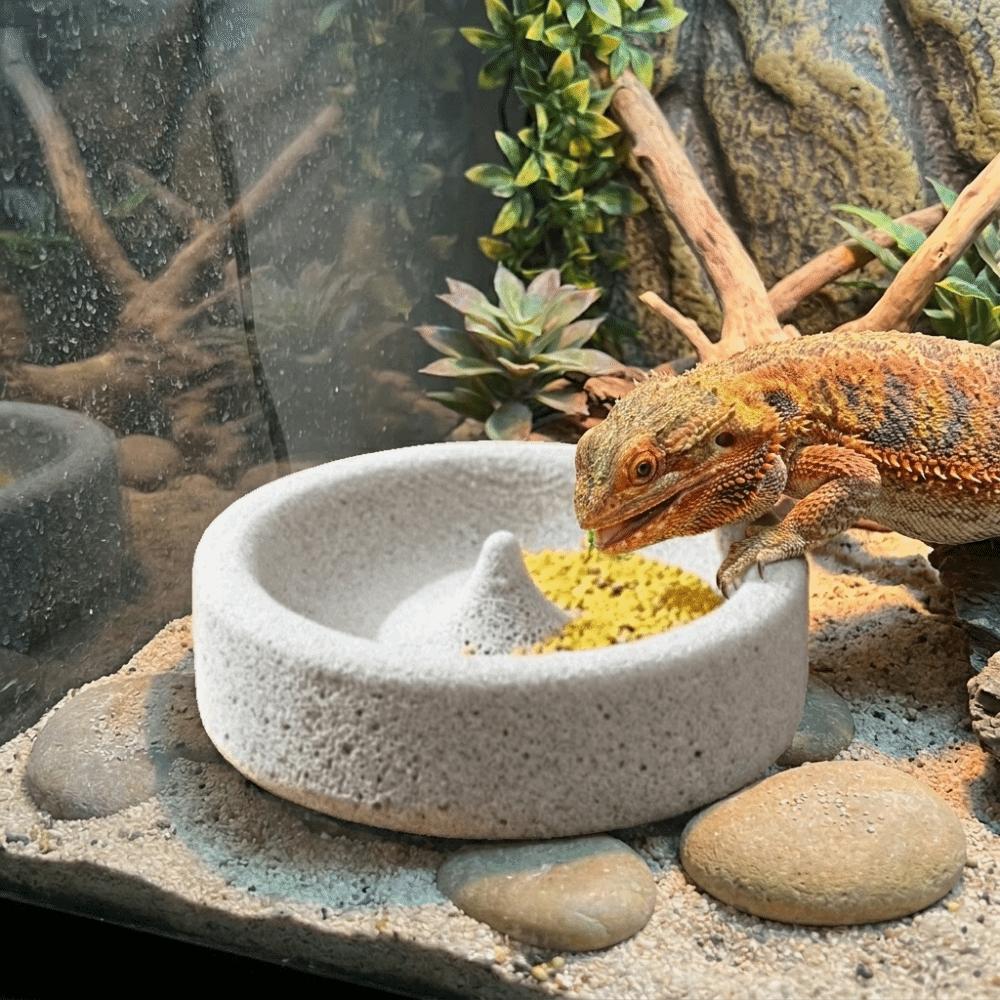 Anti-Knoei Papegaai Poot Slijpkom Ronde Huisdier Waterbak Cavia Voedselbak Decoratief