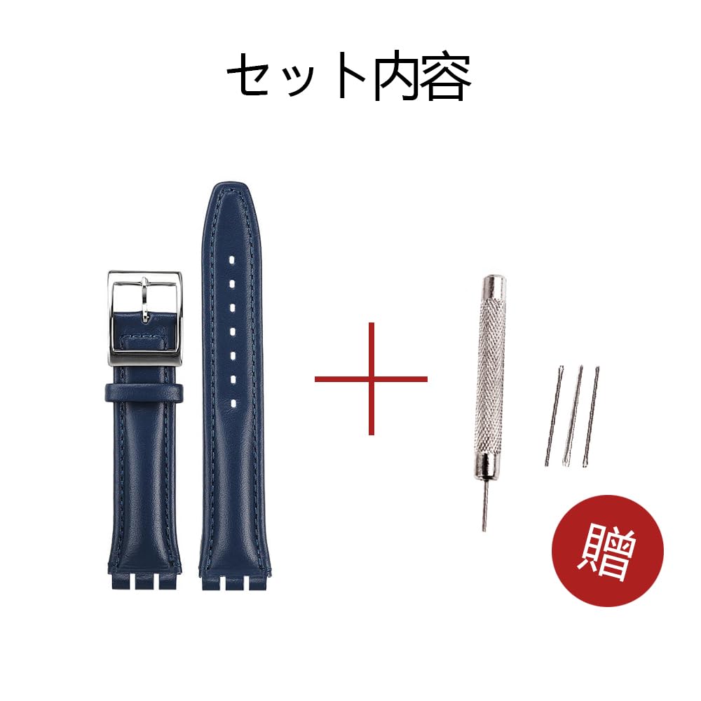 ZHUOLEI Swatch Watch Strap, 17mm/19mm [Includes 3 Spring Bars, Spring Bar Remover, and Box] (A-Blue, 19mm)