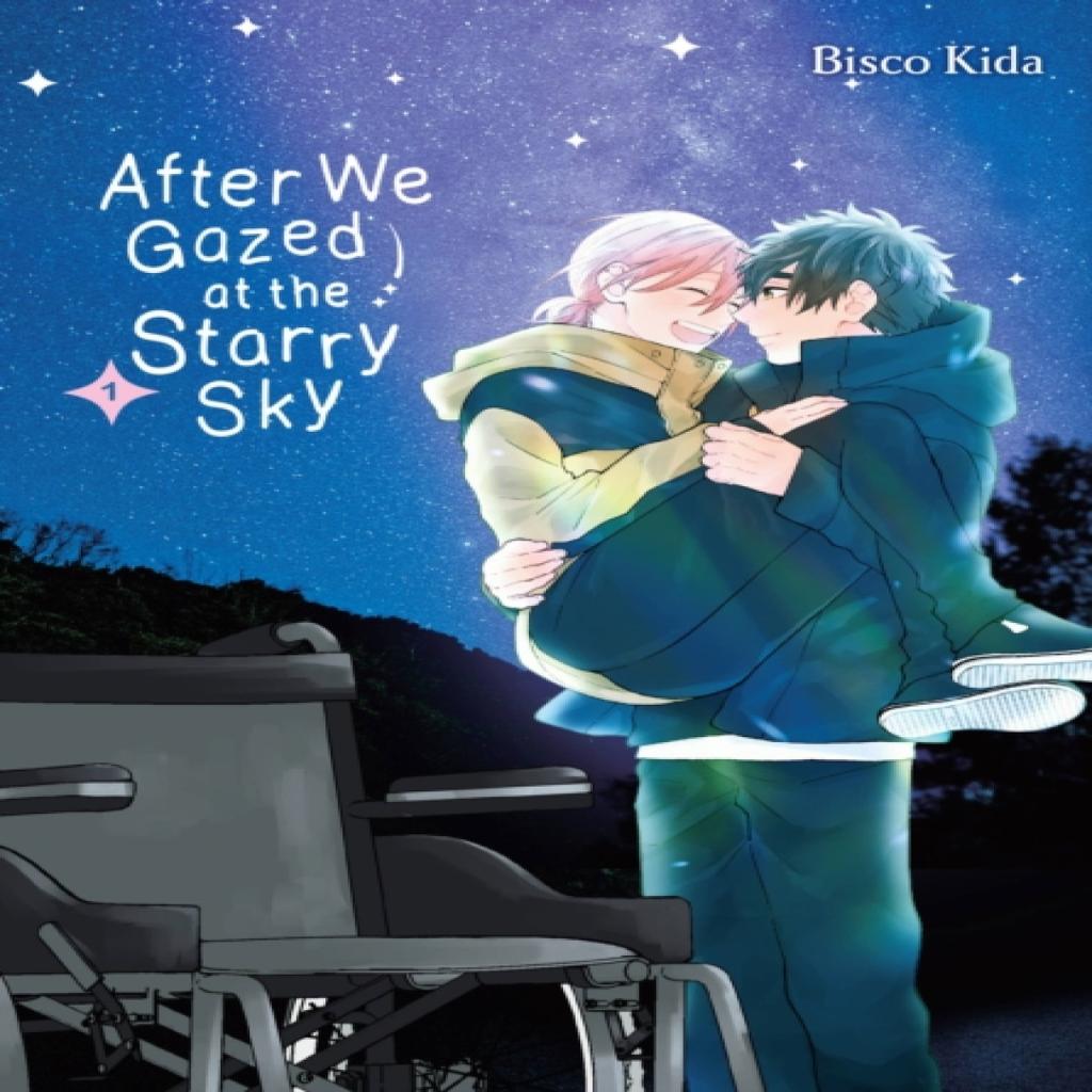 After We Gazed At the Starry Sky Vol. 1 by Nicole Roderick Paperback Book 9781975364472
