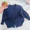 Autumn 2025 Stylish Cable Knit Sweater for Children: Solid Color Woolen Knitwear for Babies, Boys, and Girls