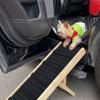 Verstellbare Hundetreppe aus Massivholz: Faltbare Haustiertreppe für Autos und Sofas