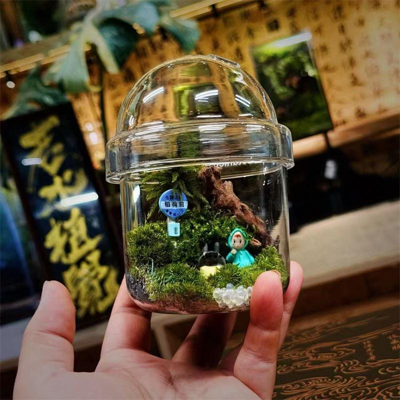 Micro Landscape Moss Glass Bottles Small Glass Ecological Bottle Green Plant Glass Terrarium Fun Plant Container Desktop Decor