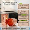 Pure Copper Glass Tumbler Food Grade Copper Ayurvedic Health Benefits Handmade Drinkware for Water Juice and Detox Drinks (Set of 2)