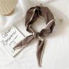 Decorative Simple Texture Silk Scarf Women'S New Style Spring And Autumn Summer Fashion Versatile Headscarf Work Scarf