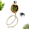 Spider Enclosure Accessories Magnetic Walnut Habitat Jumping Spider Terrarium Decor with Rope for Terrarium Breeding Geckos Tree