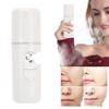 Nano Mist Sprayer Deep Hydrating Portable USB Face Steaming Skin‑Care Humidifier(White )