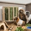 Wooden Hay Feeder Rack Built-in Rabbit Hay Holder Easy Installation Ferret Hay Manger  Hamster