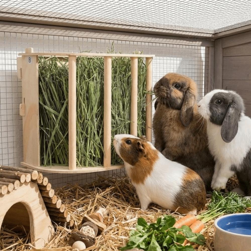 Wooden Hay Feeder Rack Built-in Rabbit Hay Holder Easy Installation Ferret Hay Manger  Hamster