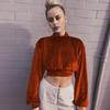 2025 Autumn/Winter Women's High Neck Velvet Cropped Hoodie - Slim Fit Long Sleeve Top