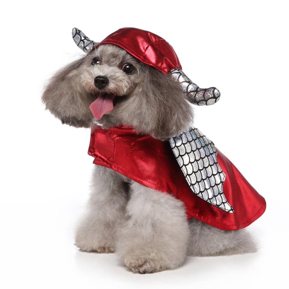 Christmas New Year dress up prince crown with hat cos role handsome party out dog clothes