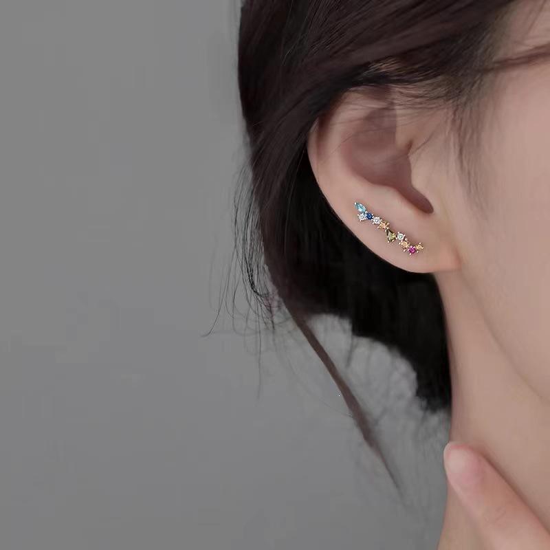 925 Sterling Silver Zircon Stud Earrings: 2024 Niche Luxury Jewelry for Women