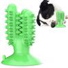 Pet Supplies Factory Wholesale Company New Explosions Cactus Toothbrush Grinding Stick Dog Toy Ball