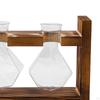 Glass Hydroponics Plant Propagating Station Desktop Vase Wooden Frame Diamond Shaped