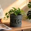 Yousheng Mini Roman Column Planter, Vintage Embossed Flower Pot, Small Greek Pillar Shaped Plant Container for Indoor Outdoor, Home Garden Decor
