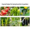 Plant Tying Machine Plant Vine Tying Machine Garden Tape Tying Tool for Vegetables Grape Cucumber Tomato Flower Peppers
