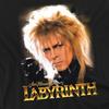Labyrinth Unisex Adult Jareth The Goblin King Long-Sleeved T-Shirt