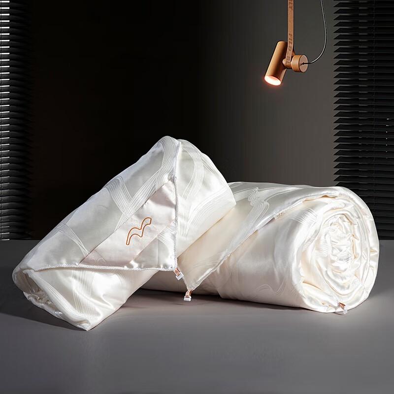 

Mercury Home Textiles 100% Tussah Silk All-Season Two-in-One Duvet, 150x210cm