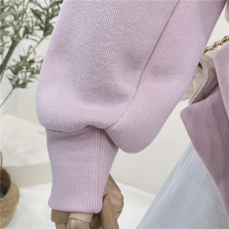 Embroidered Flower Velvet Hooded Sweater - Women's Autumn/Winter Cartoon Anime Design