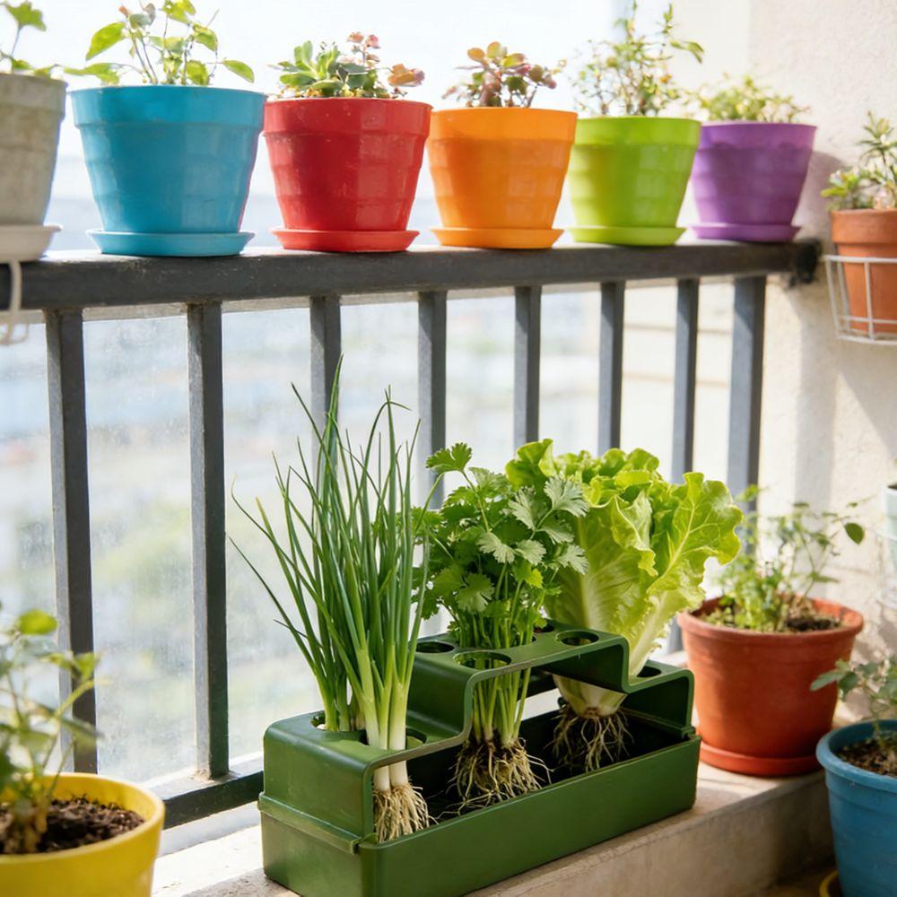 Plastic Chives Seedling Tray Ventilated Lettuce Chives Hydroponic Planter Celery Coriander Water Cultivation Box Plant