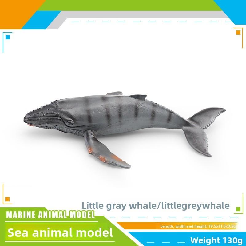 Ensemble de modèles en PVC d'animaux marins pour enfants avec des figures de cétacés réalistes pour le jeu éducatif
