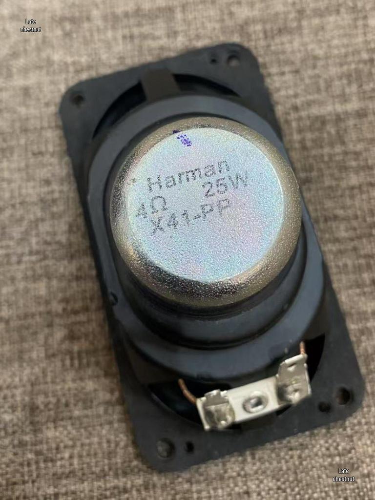 Rectangular 90x49.5mm Mid-Bass Speaker with Neodymium Magnet