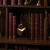 Halloween-Thema Buch-Organizer Gotische Metall-Buchstützen mit Hängeleuchte, Katze Rabe Geist Dekorativ Schwarz Heimdeko Bücherregal Lampe, Vintage