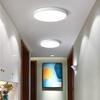 Smart LED Ceiling Light