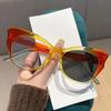 New Cat Eye Personalized Photochromic Myopia Glasses Simple and Versatile Trendy Color Anti Blue Light Glasses Diopter To -4.0