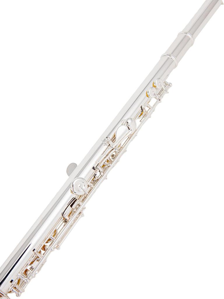 AUROSUS Intermediate Flute Open Hole 17 Key  Offest G French Model B Footjoint with Gizmo  Flute