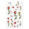 Stickers Flowers Leaves Plants PVC Stickers Lable Transparent PET Stickers For Scrapbooking Diary Journal Decorative DIY Materia