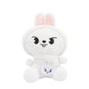 Game Plush Toy, Personalised Plush Doll, Cute Plush Toy Gift For Game Fans