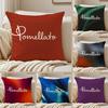 Fashion PPOMELLATO Cushion Cover Pillowcase Ultra Soft Skin Friendly Fabric Cloud Like Comfort  Concealed Zipper