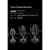 Metal Hollow Anal Plug - Rear Entry Flirting & Training Erotic Toy