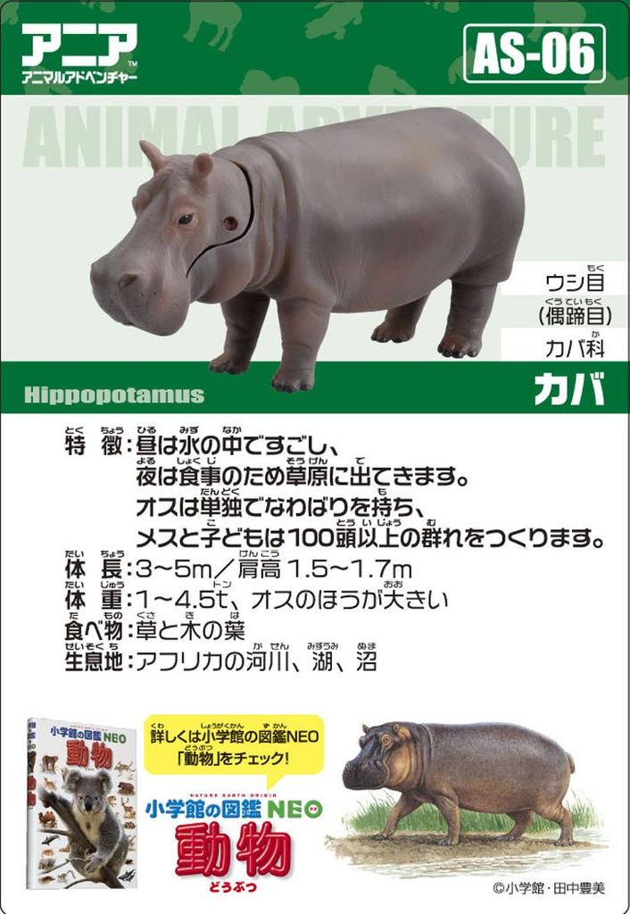 Takara Tomy Animal Dinosaur Realistic Moving Figure Toy for Ages 3 and Meets Toy Safety ST Mark Certified "Ania AS-06 Hippopotamus" Up, Standards,