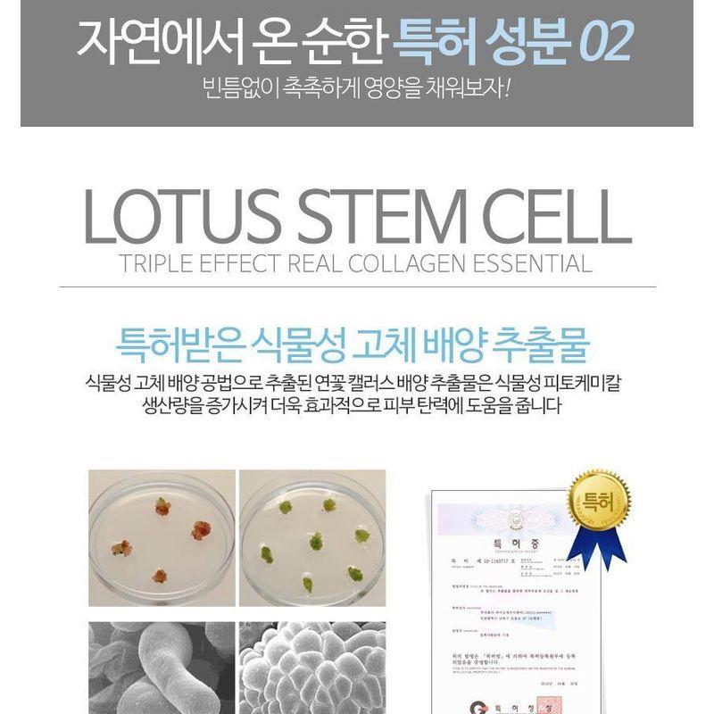 MediFlower - ARONYX Triple Effect Real Collagen Moisture Cream