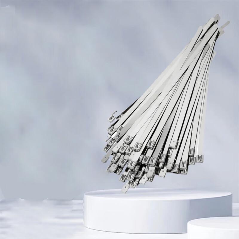 Black Powder Coated 304 Stainless Steel Self-Locking Cable Ties