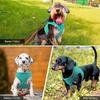 Ultimate Comfort Reflective Step-In Dog Harness and Leash Set - Soft Padded Breathable Mesh Vest with Adjustable Nylon Leash for