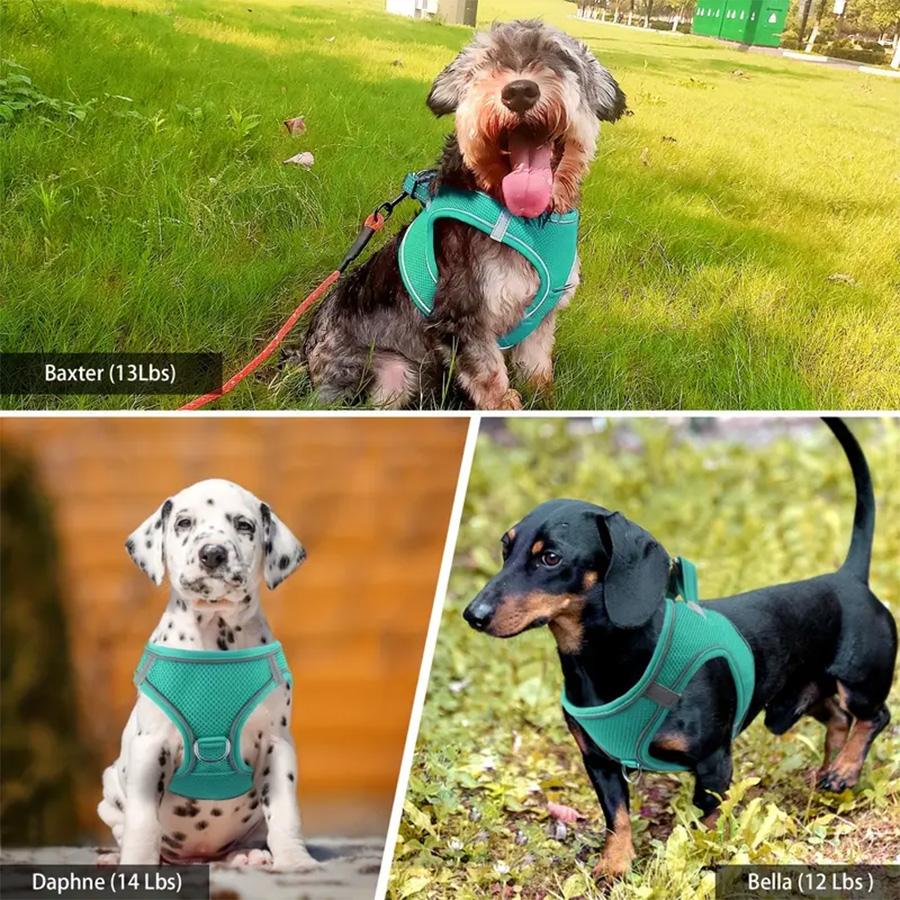 Ultimate Comfort Reflective Step-In Dog Harness and Leash Set - Soft Padded Breathable Mesh Vest with Adjustable Nylon Leash for