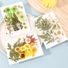 104/94pcs Dried Flowers Natural Plant Pressed Flower Epoxy Resin Fill DIY Make Art Craft Diarybook Decor Handmade Resin Material