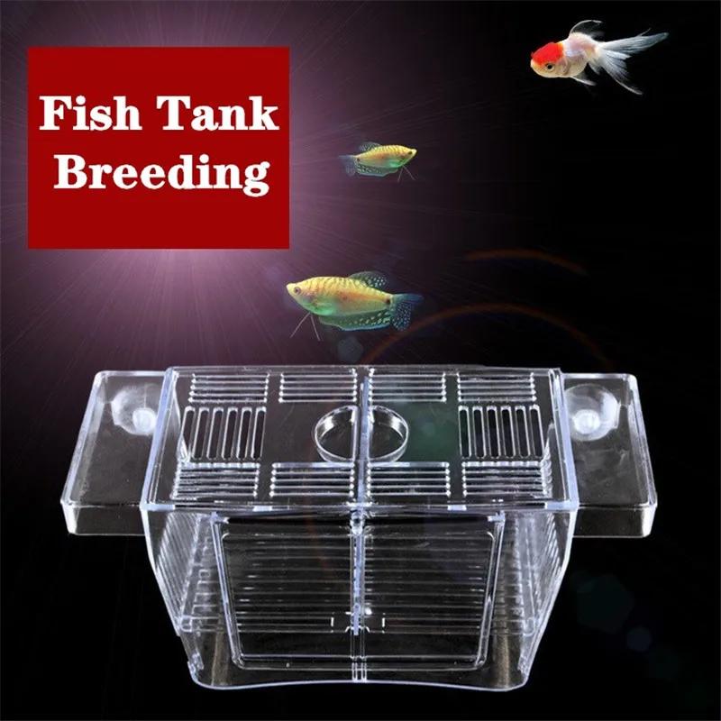Transparent Acrylic Fish Tank Double Layer Breeding Isolation Box Aquarium Hatchery Incubator Holder S