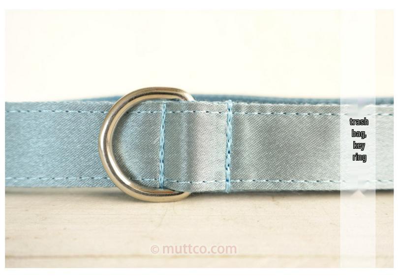 MUTTCO Blue Thickened Bite-Resistant Dog Collar & Leash UDL-114