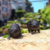 Simulation Pig Figurine Ornaments Garden Decoration Accessories Pig Resin Sculpture Model Handicraft Home Living Room Decor Gift