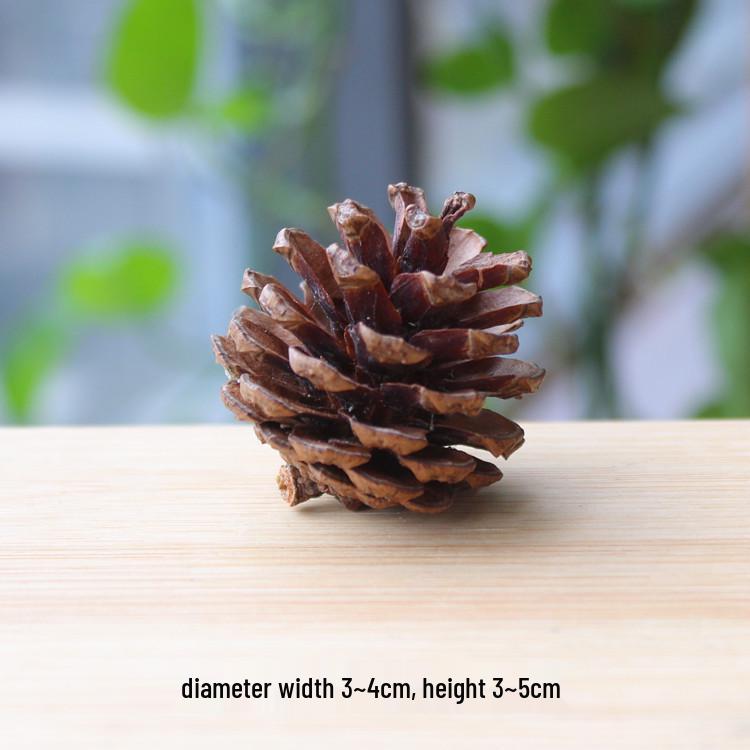 Natural Dried Fruit Wood Slices & Pine Acorn Christmas Decor Materials for Photography Backgrounds
