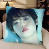 Korean Idol PPark JiHoon Pillow Case Fashion Square Pillowcase Bedroom Sofa Room Ins Decoration Leisure