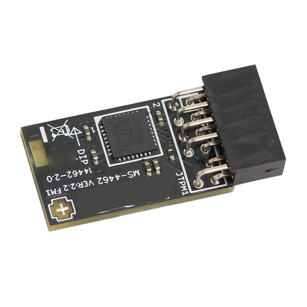 TPM2.0 Module TPM SPI 12Pin Encryption Security Module with SLB 9672 for MSI Motherboards for Windows 10 11